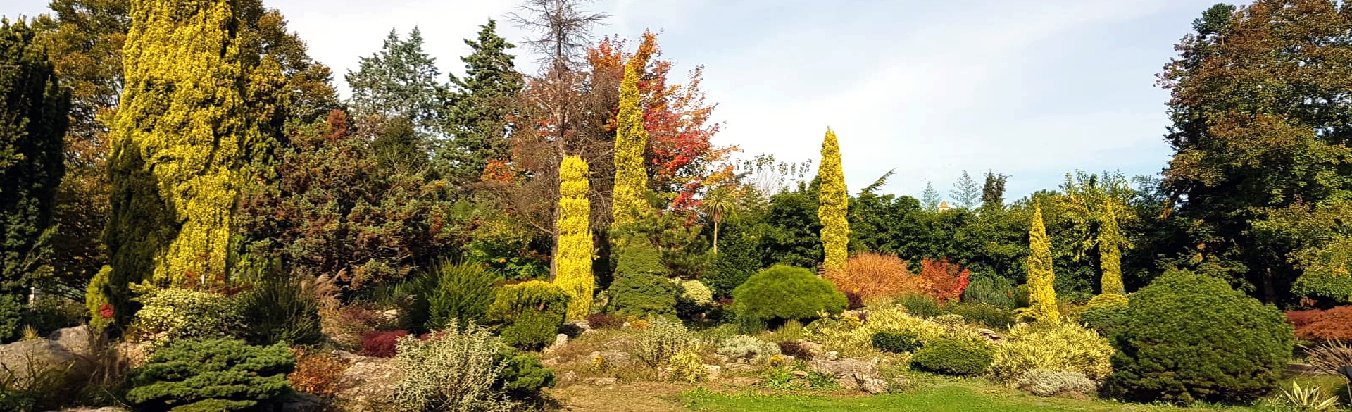 karaca-arboretum-vakfi-slide-04-mini.jpg