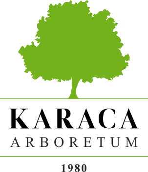 karaca-arboretum-logo-front.png